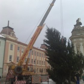 Ukotvení vánočního stromu v Heřmanově Městci